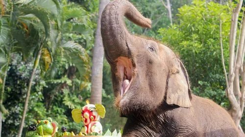 Bali experience