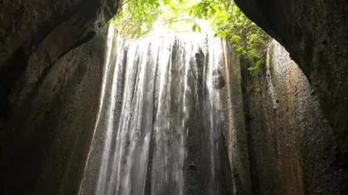 Bali experience